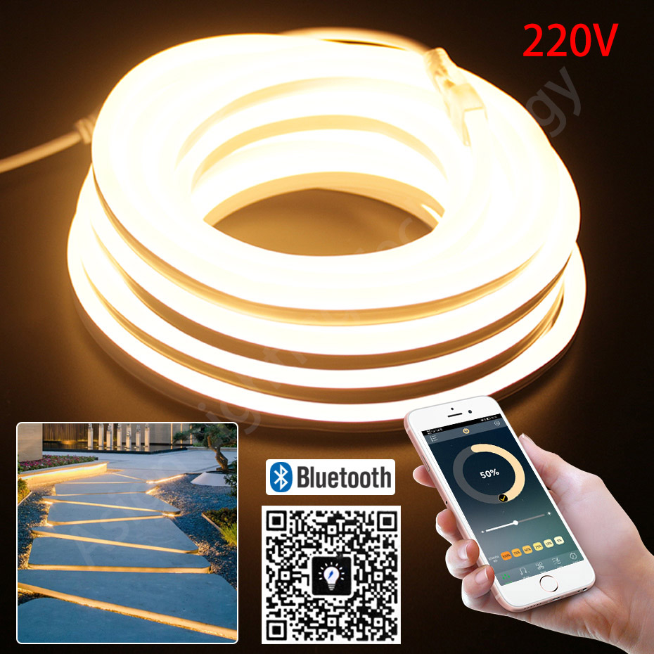 LED 네온 스트립 220V 2835 120 LED/m - Outdoor Power Strip Weatherproof 리뷰 및 가격