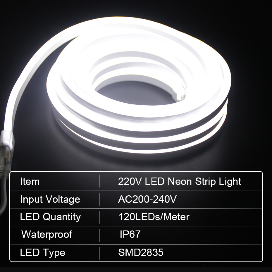LED 네온 스트립 220V 2835 120 LED/m - Outdoor Power Strip Weatherproof 리뷰 및 가격
